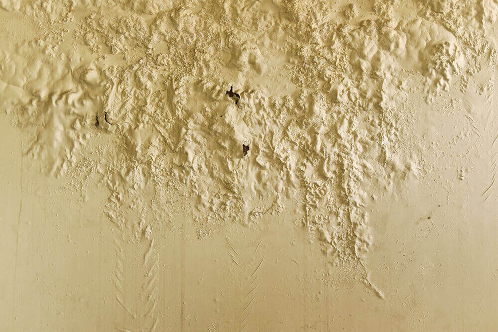 paredes humedas san sebastian de los reyes